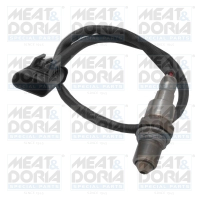 Oxygen Sensor